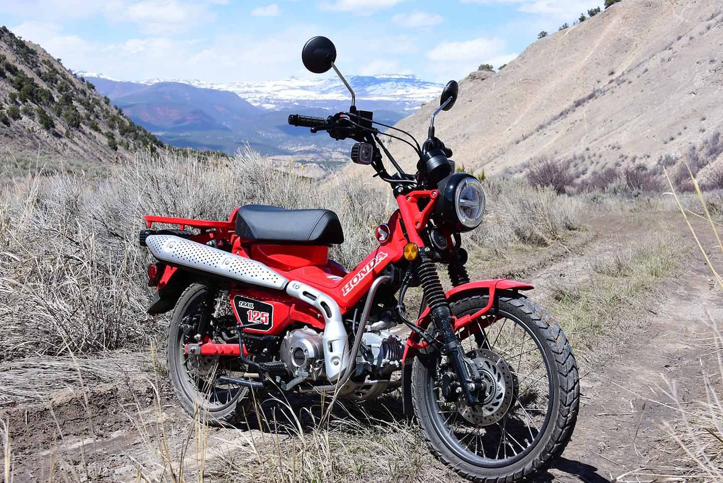 2022 Honda Trail125 Ride Review - MOTORCYCLE REVIEWS - Motorcycle Riders