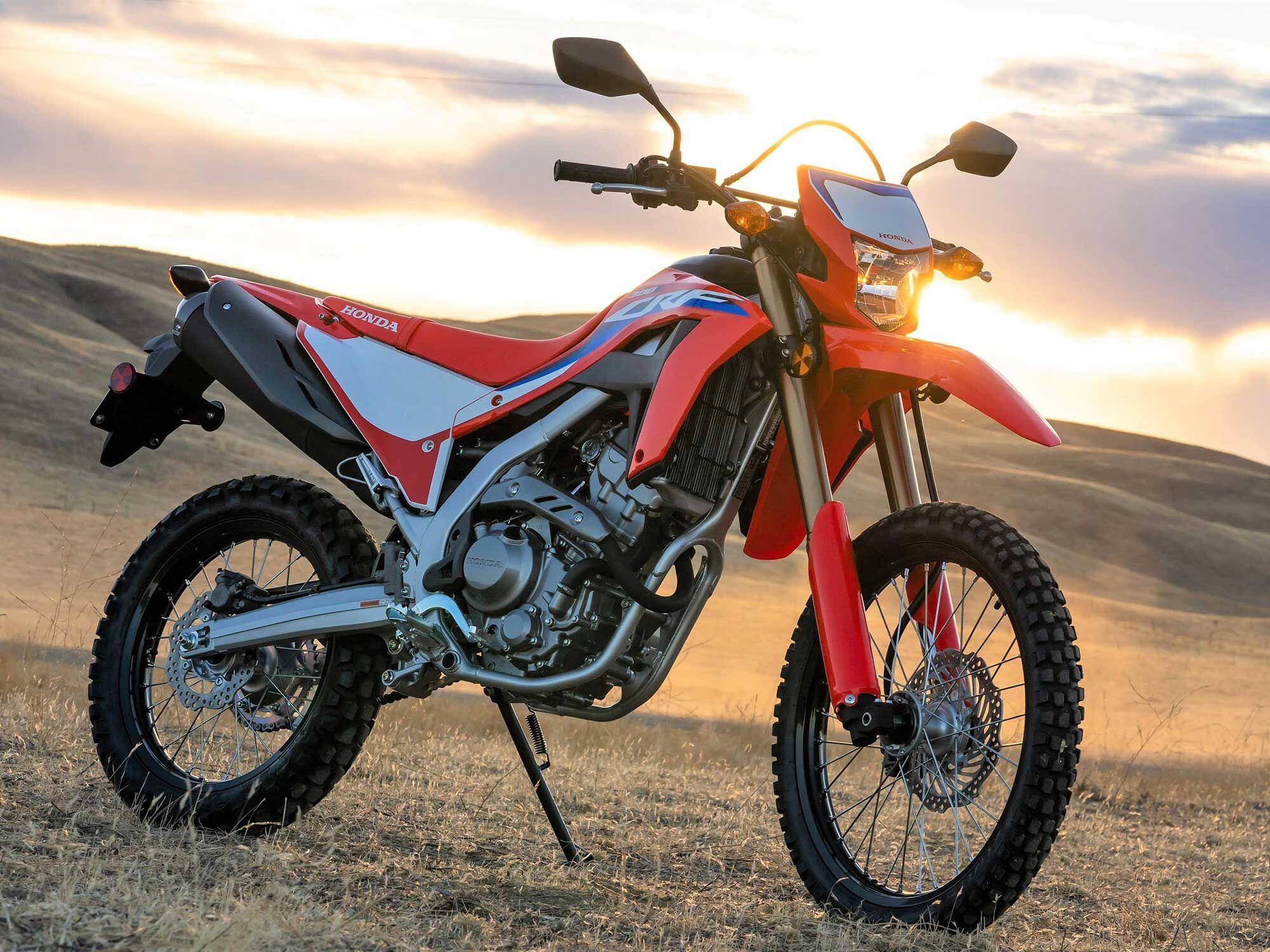 good dual sport bikes for beginners