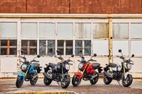 2025 Honda Grom lineup parked in industrial complex