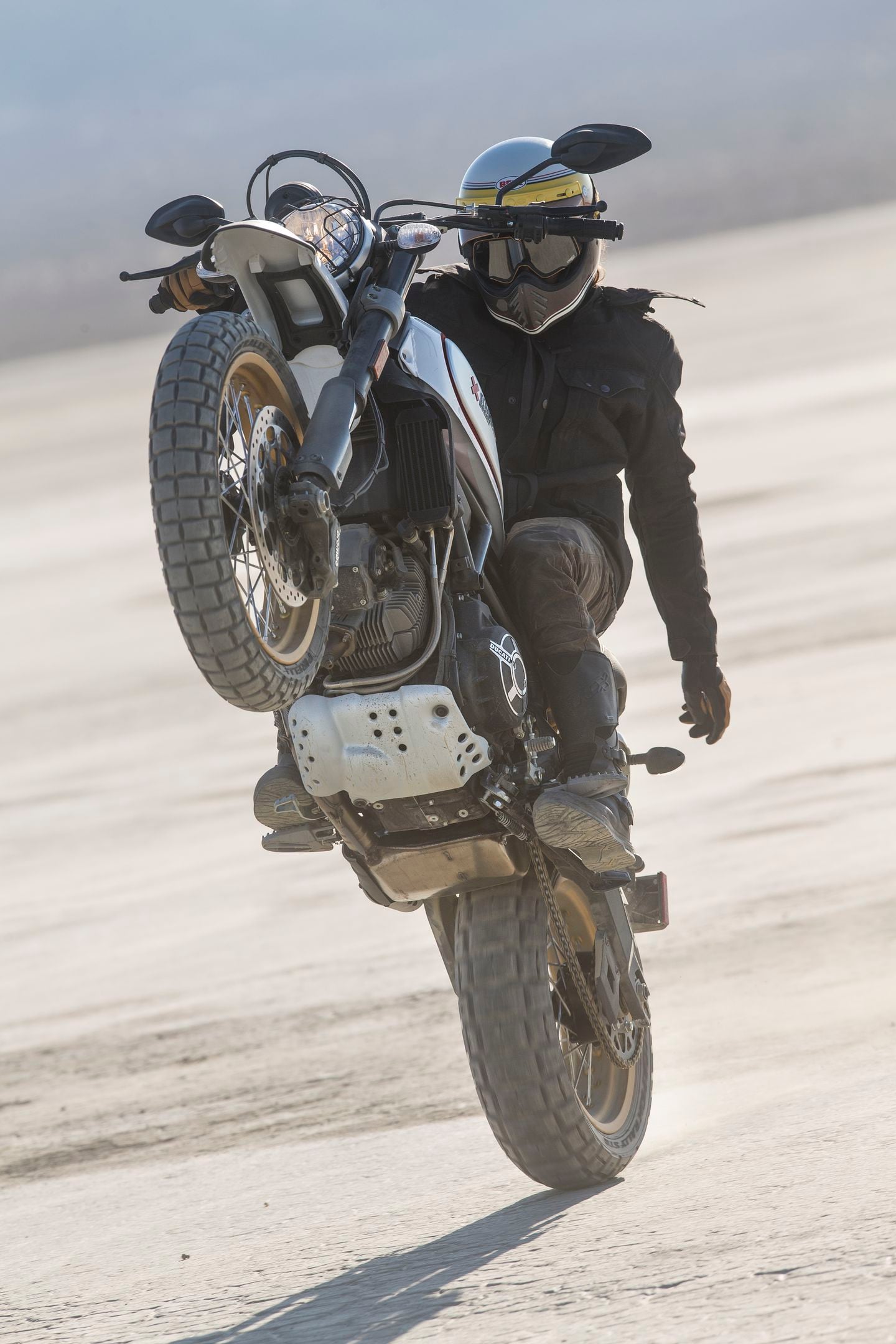 Ducati store scrambler wheelie