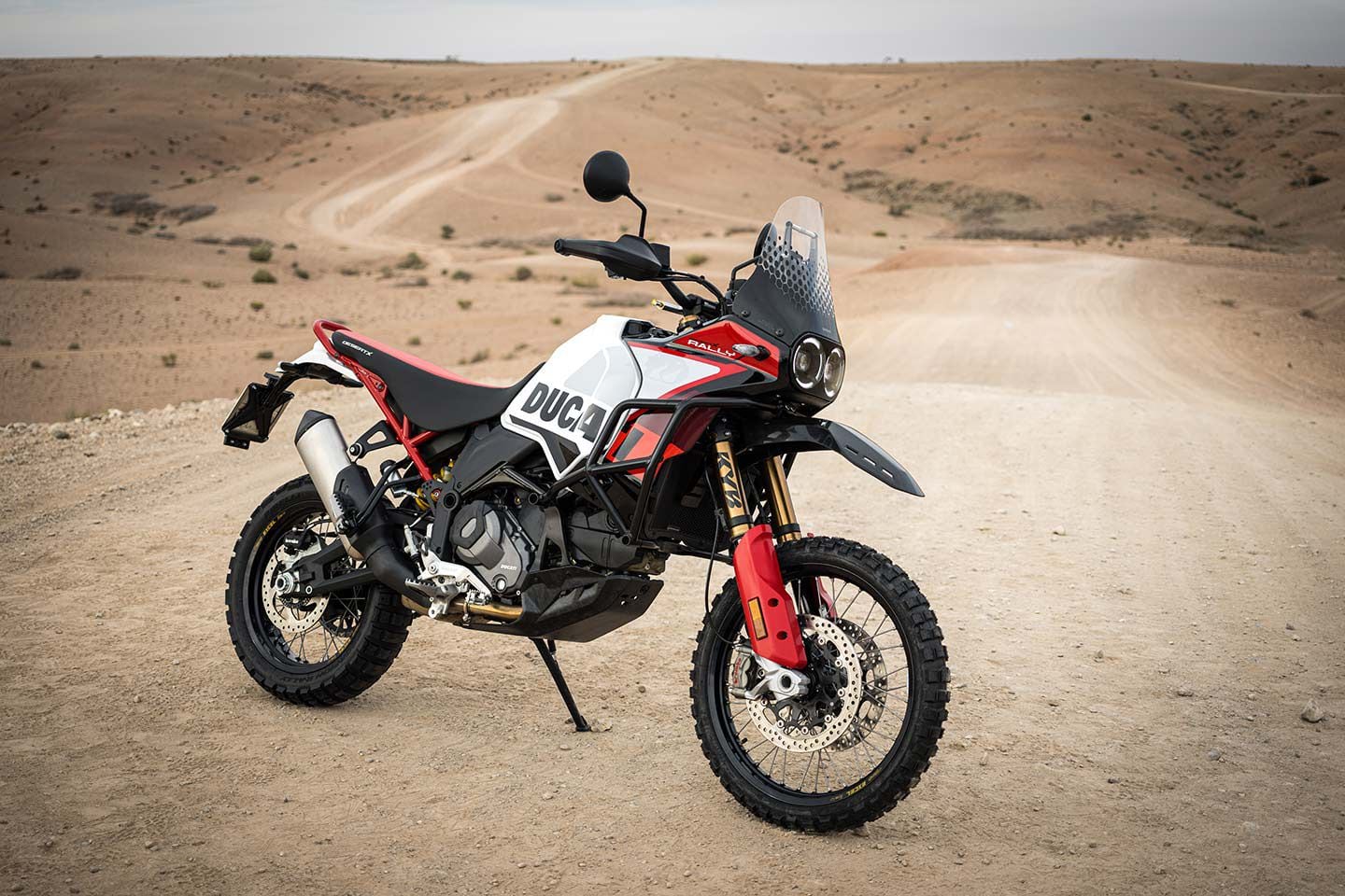 Two days in Morocco proved the mettle of Ducati's DesertX Rally.