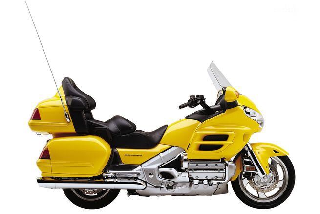 Best goldwing cheap