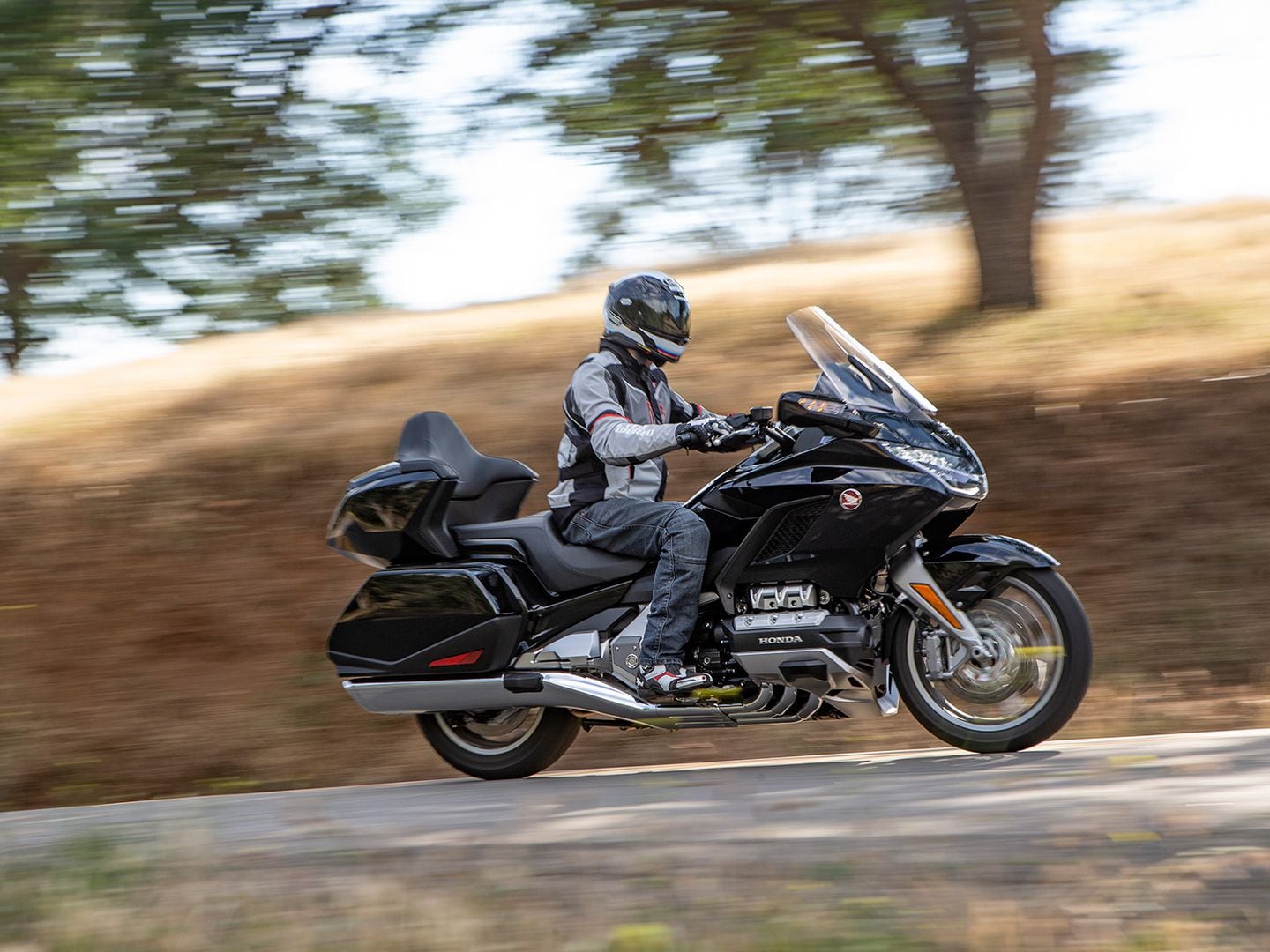 2019 goldwing cheap