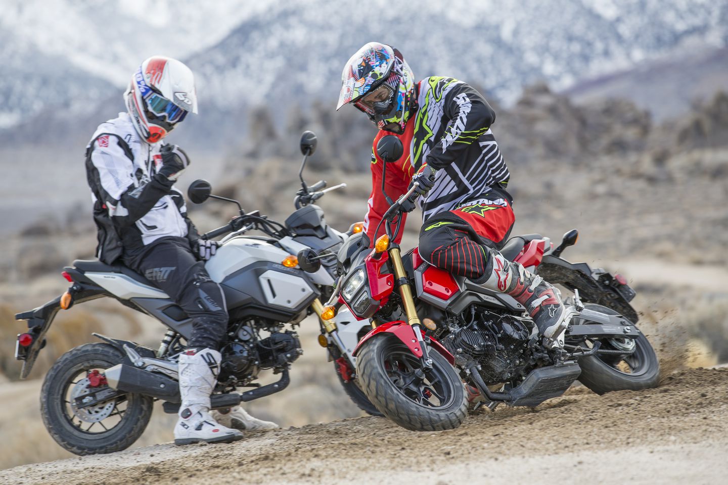 Honda grom deals off road