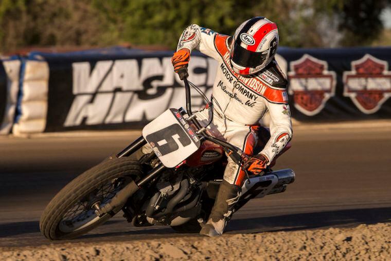 harley davidson flat track