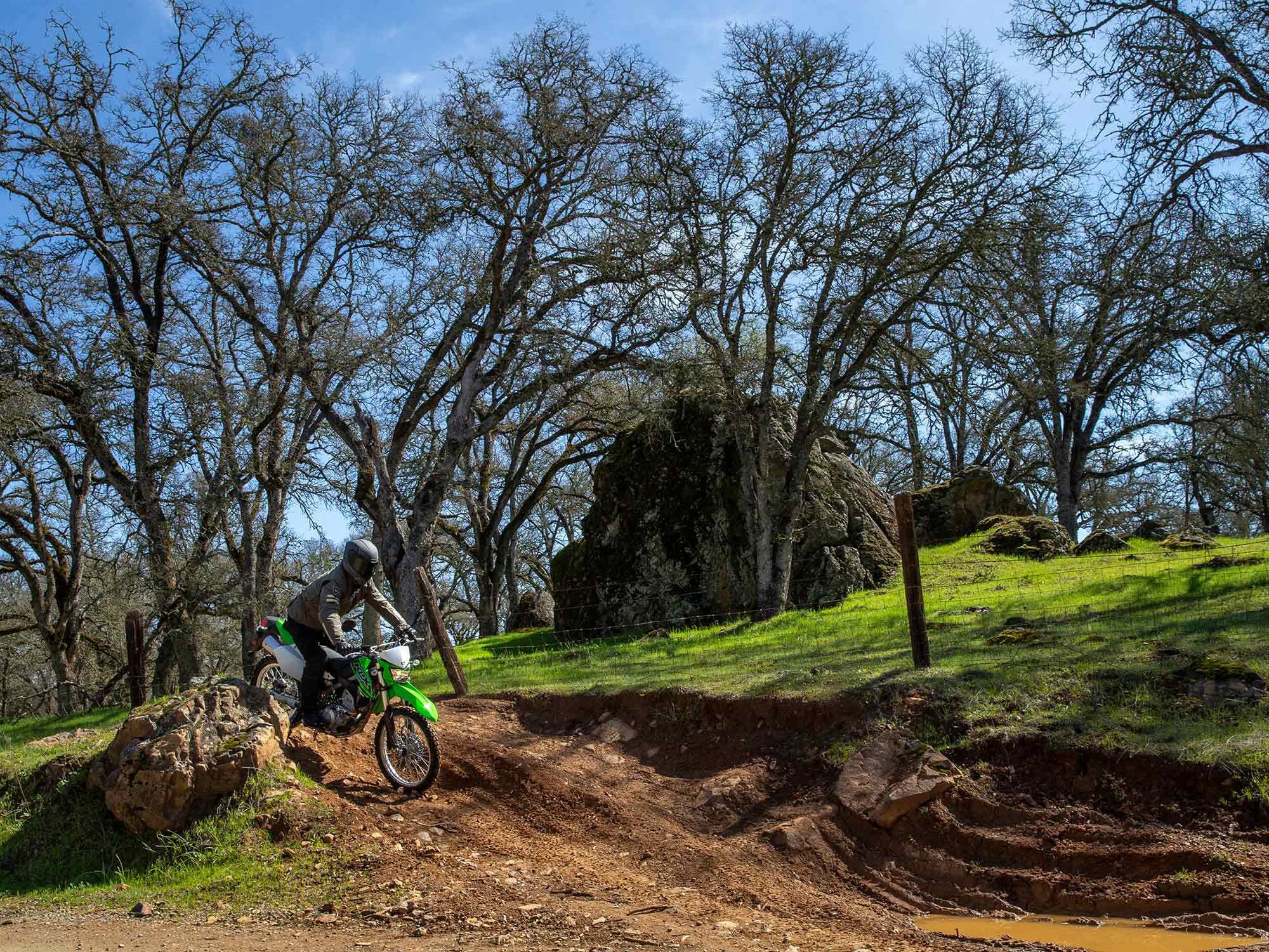 At a casual pace the KLX300 has great trail manners.