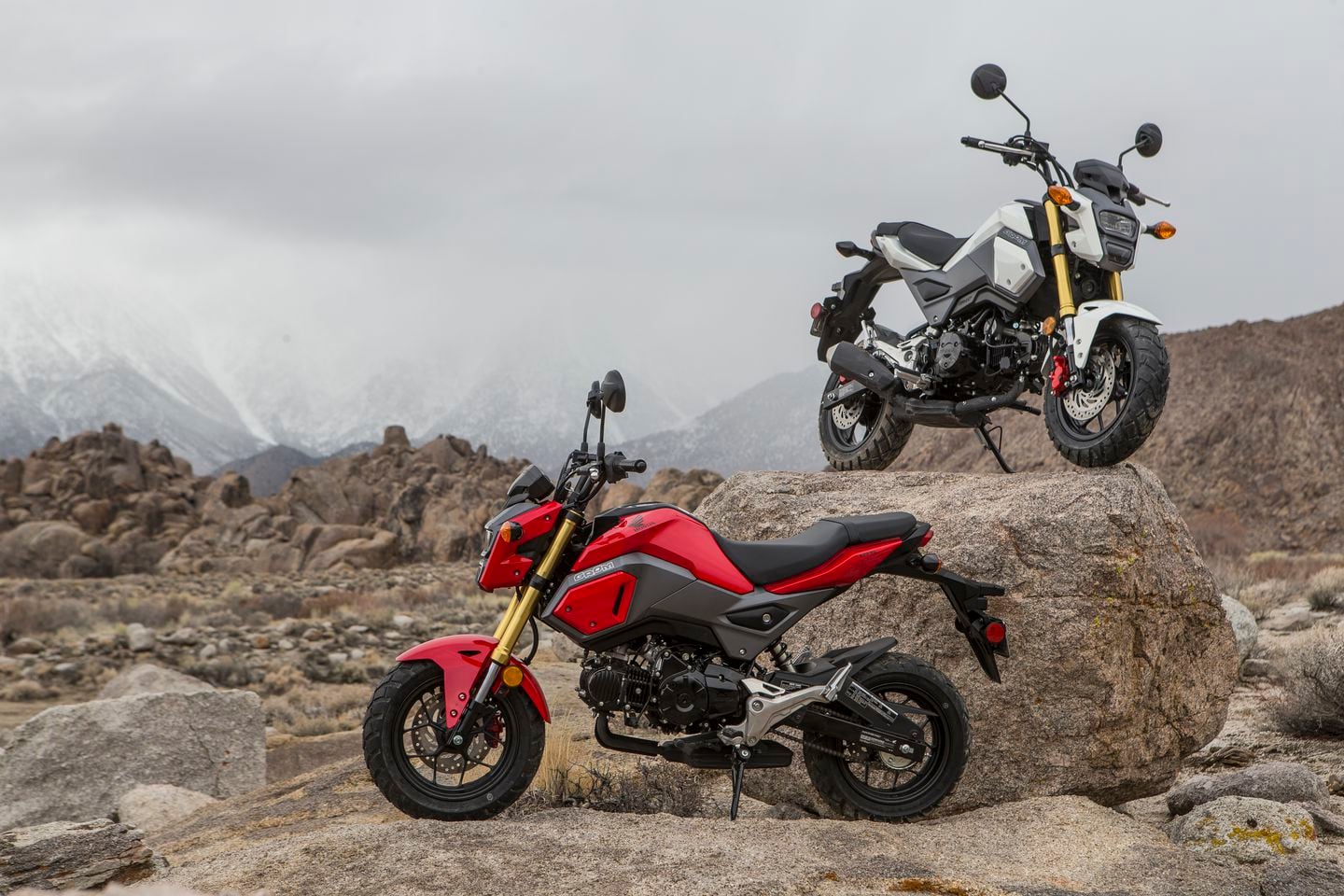 Honda Grom Off Road Adventure Motorcycle Fun Trip Cycle World