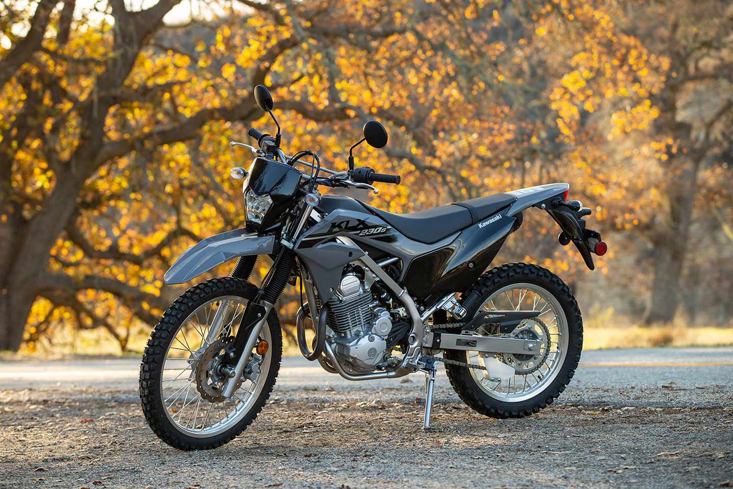 Klx 230 dual deals sport