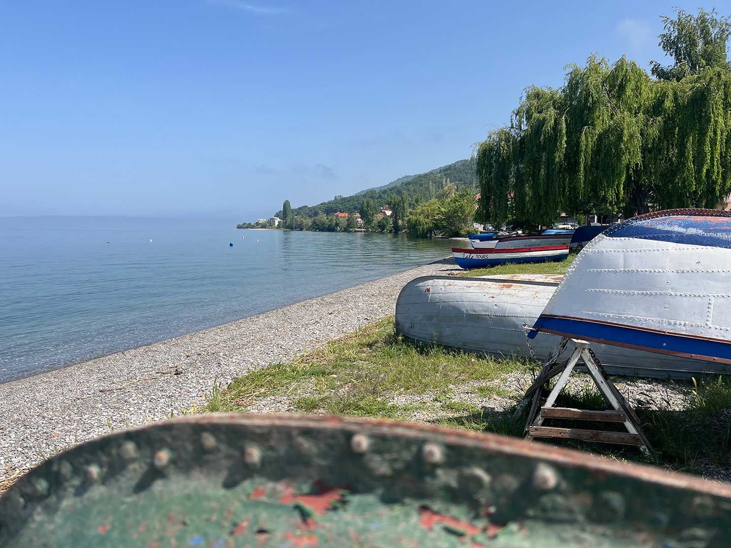 Le lac d'Ohrid en Macédoine du Nord est l'un des plus anciens lacs du monde, abritant environ 200 espèces endémiques.