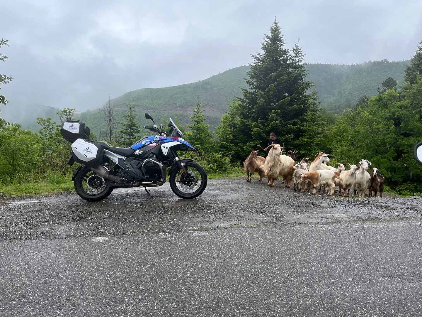 Une matinée humide en Albanie sur la SH22.